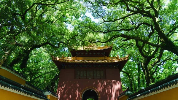 Прекрасний Вигляд Китайського Храму Кіото Япан Ліцензійні Стокові Фото