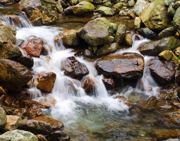 Hermosa Cascada Bosque — Foto de Stock