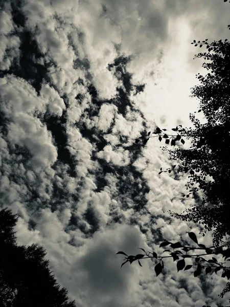 Hermoso Cielo Con Nubes Árboles — Foto de Stock