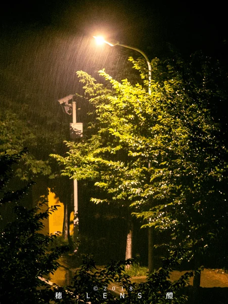 Billedlig Utsikt Byparken – stockfoto