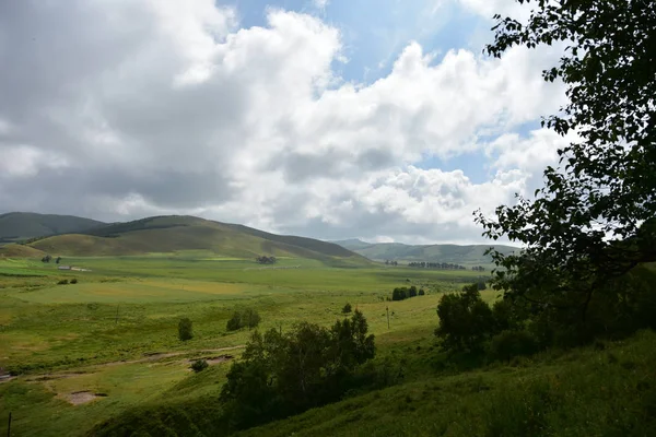 Paisaje Con Hierba Verde Cielo Azul — Foto de Stock