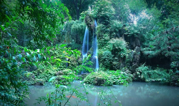 Árvores Verdes Parque — Fotografia de Stock