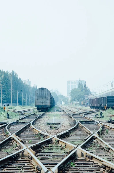 Vias Férreas Estação Ferroviária — Fotografia de Stock