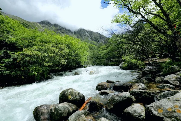Pintoresca Vista Del Río Montaña Bosque — Foto de Stock