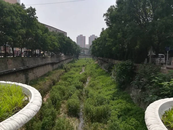 Vista Ciudad Del Parque Verano — Foto de Stock