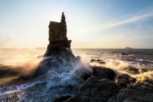 Hermoso Fondo Marino Tropical — Foto de Stock