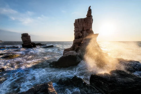 Hermoso Fondo Marino Naturaleza — Foto de Stock