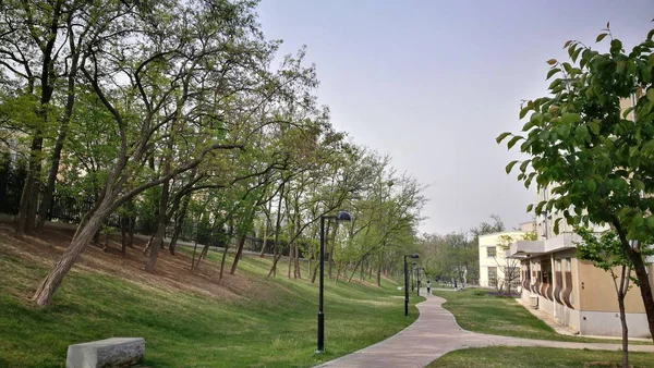 Hermosa Vista Del Parque — Foto de Stock