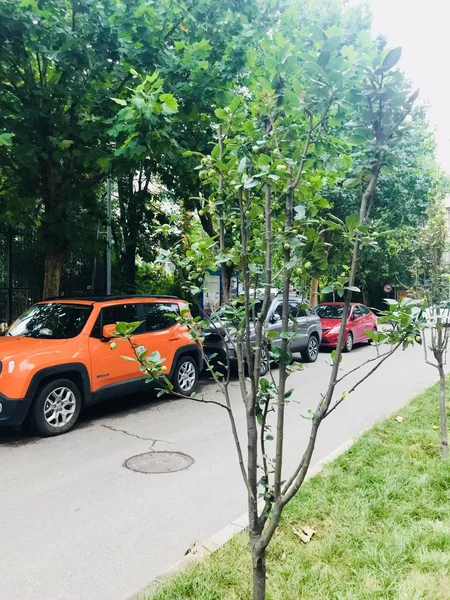 Coche Parque — Foto de Stock