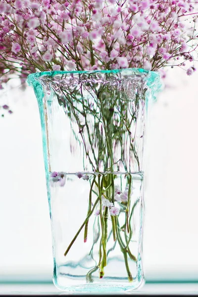 lavender flowers in a vase on a table