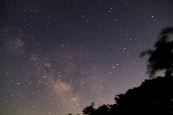 Hermoso Cielo Con Estrellas Nebulosa Astronomía — Foto de Stock