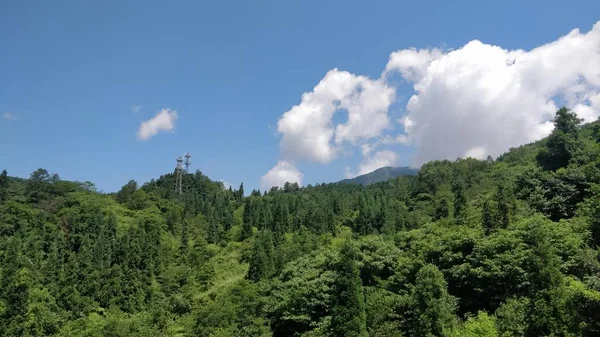 Árboles Verdes Las Montañas — Foto de Stock