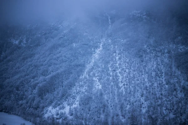 Foresta Invernale Ghiacciata Montagna — Foto Stock