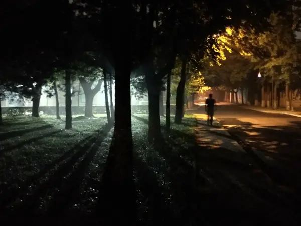 Silueta Hombre Caminando Por Parque — Foto de Stock