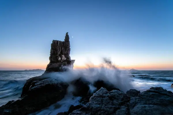 Hermoso Fondo Marino Naturaleza — Foto de Stock