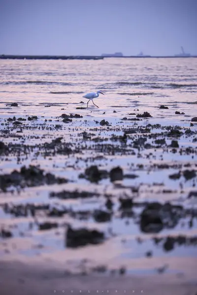 有波浪和沙子的海滩 — 图库照片