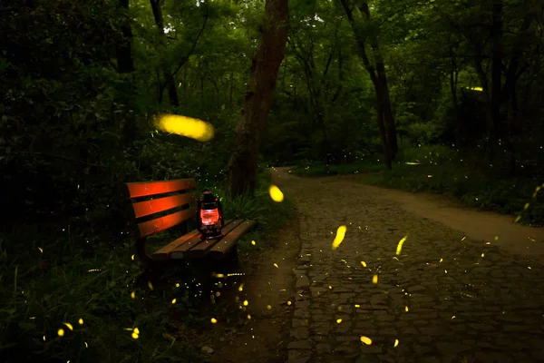 Una Pequeña Lámpara Parque — Foto de Stock