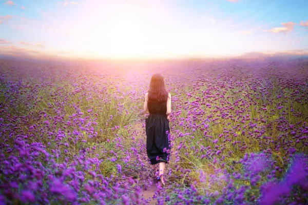 Mooi Meisje Een Lavendel Veld — Stockfoto