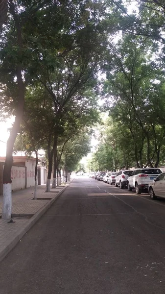 Camino Parque Ciudad — Foto de Stock