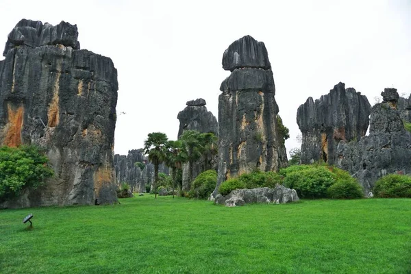 Moai Socha Parku — Stock fotografie