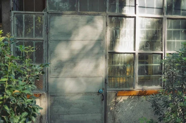 Ventana Con Ventanas Plantas — Foto de Stock