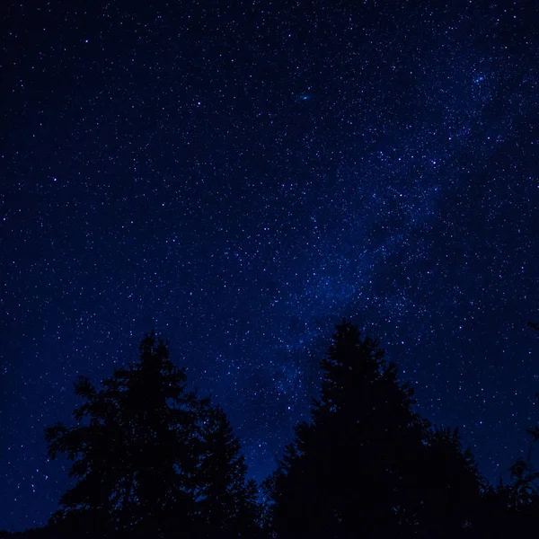 Cielo Nocturno Estrellado Estrellas Brillantes Nebulosa Espacial — Foto de Stock
