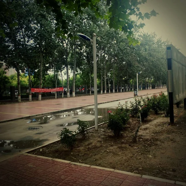 Ciudad Del Parque Jardín — Foto de Stock