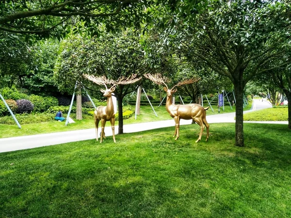 Caballo Parque — Foto de Stock