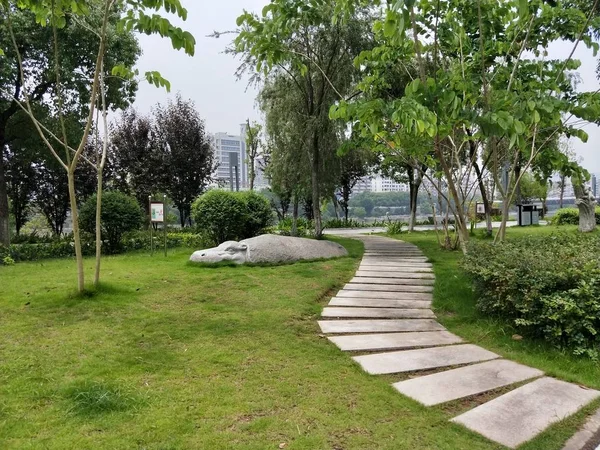 Hermoso Parque Jardín — Foto de Stock