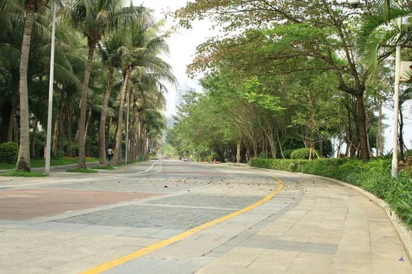 Camino Parque — Foto de Stock