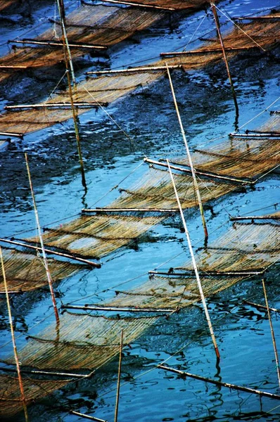 海里的一艘旧木船 — 图库照片