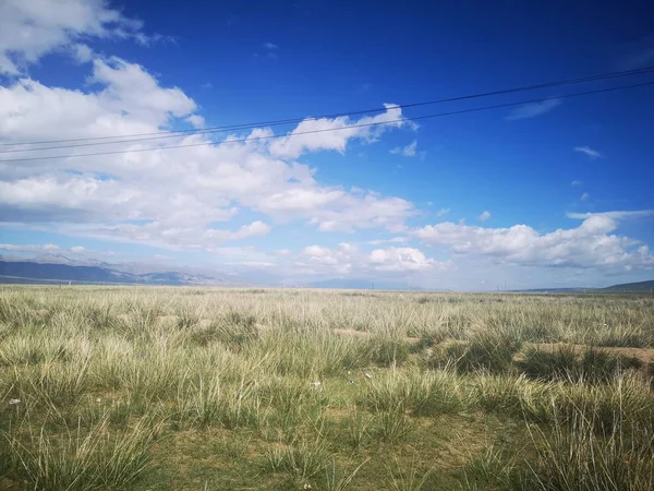 Agricultural field in rural area