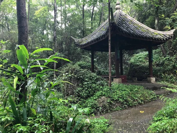 Hermoso Jardín Tropical Con Bosque Bambú — Foto de Stock