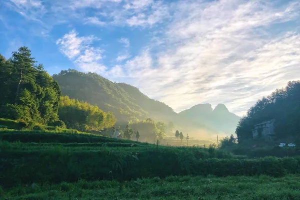 Hierba Verde Las Montañas — Foto de Stock