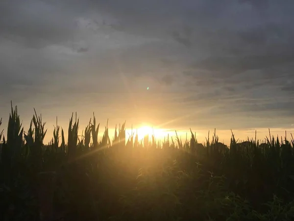 Hermoso Atardecer Sobre Lago —  Fotos de Stock