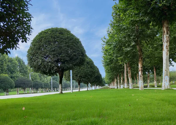 Hermoso Parque Ciudad — Foto de Stock