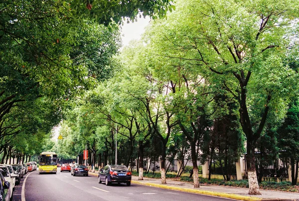 Hermoso Parque Ciudad — Foto de Stock