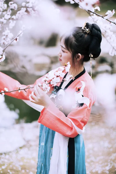 Attraktive Asiatin Steht Frühling Garten Der Kirschblüten — Stockfoto