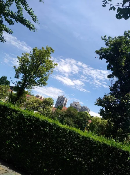 Açık Hava Manzarasının Resimsel Görüntüsü — Stok fotoğraf