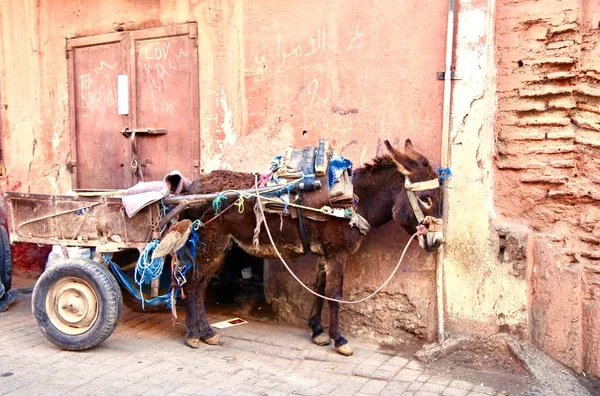 Calle Típica Chefchaouen Morocco África — Foto de Stock