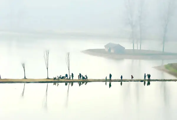 Beautiful Landscape Lake Winter — Stock Photo, Image
