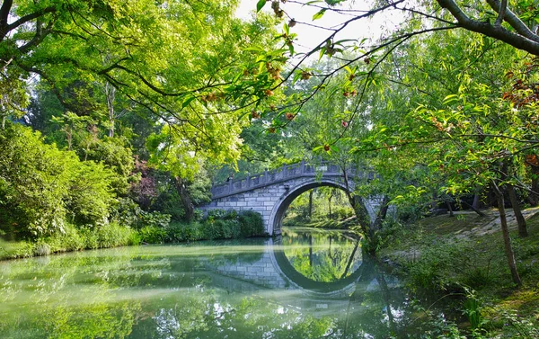 都市公園の美しい景色 — ストック写真