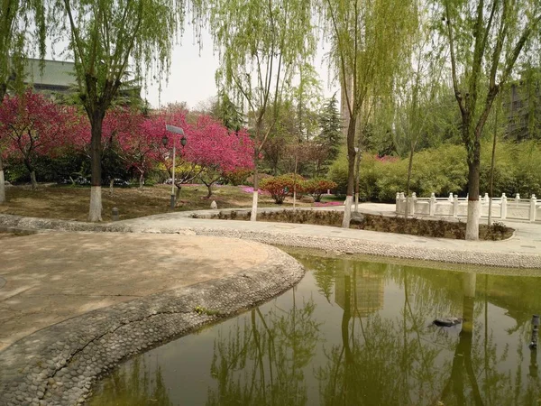 Hermoso Parque Jardín — Foto de Stock