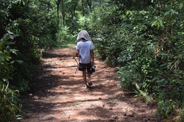 Mujer Joven Caminando Bosque — Foto de Stock