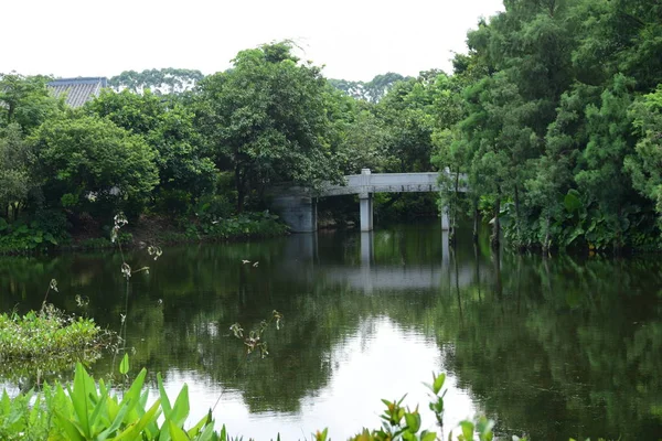Hermoso Estanque Parque — Foto de Stock