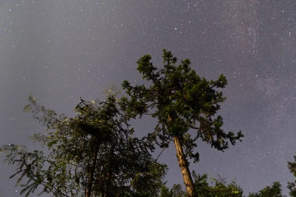 Hermoso Cielo Estrellado Noche — Foto de Stock