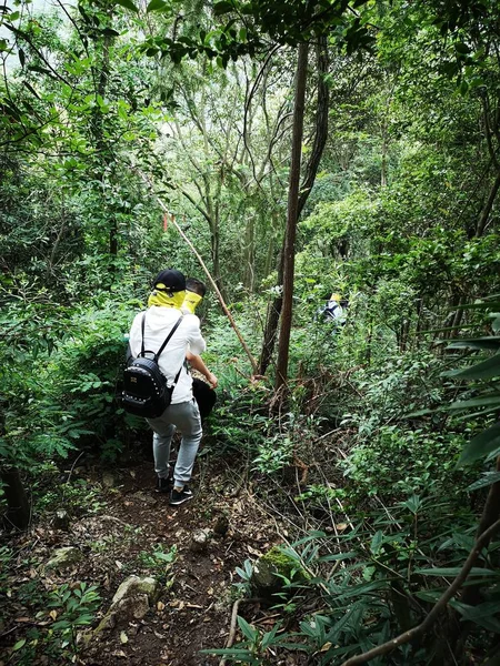 Excursionista Con Mochila Caminando Por Bosque — Foto de Stock