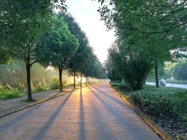 Camino Parque — Foto de Stock