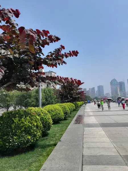 Hermosa Vista Ciudad Del Parque Verano — Foto de Stock