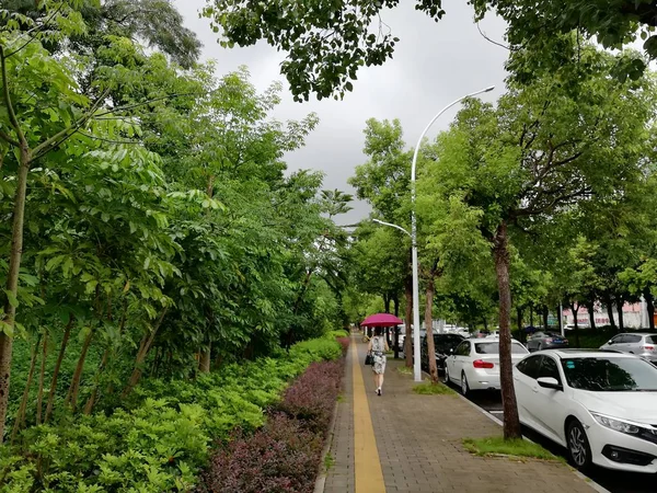 Pequeño Camino Ciudad Parque — Foto de Stock